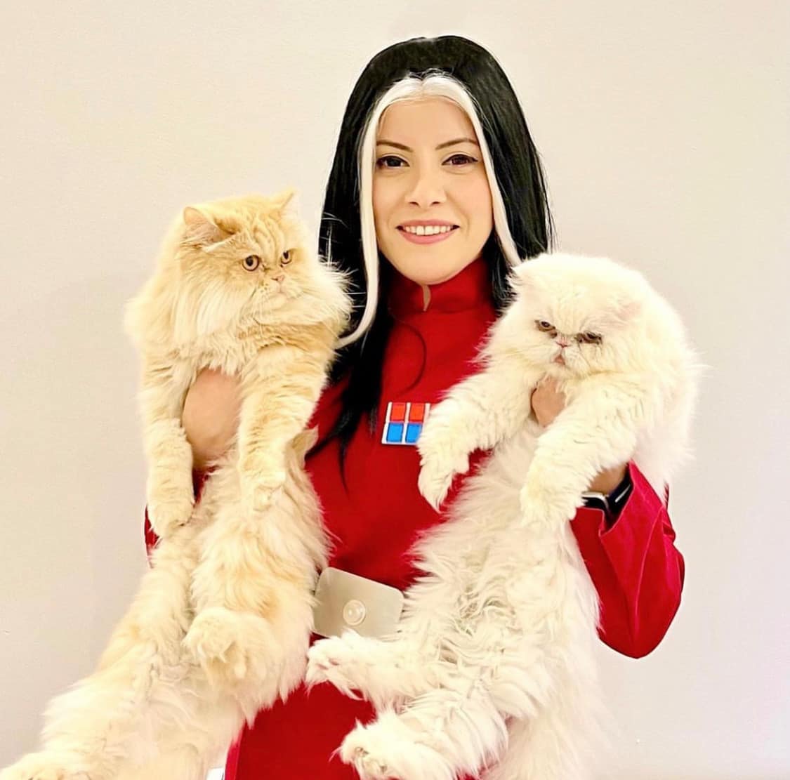 501stIOC's tweet photo. For a villainess, what is better than having a cat companion? he answer is always MORE.

ID 16316 from the Turkish Outpost.

#501st #501stLegion #StarWars #ImperialOfficer #ImperialOfficerCorps #IOC #directorIsard #firebirdsioc #DutyHonorEmpire #BadGirlsDoingGreat https://t.co/WRNkYPHxAt