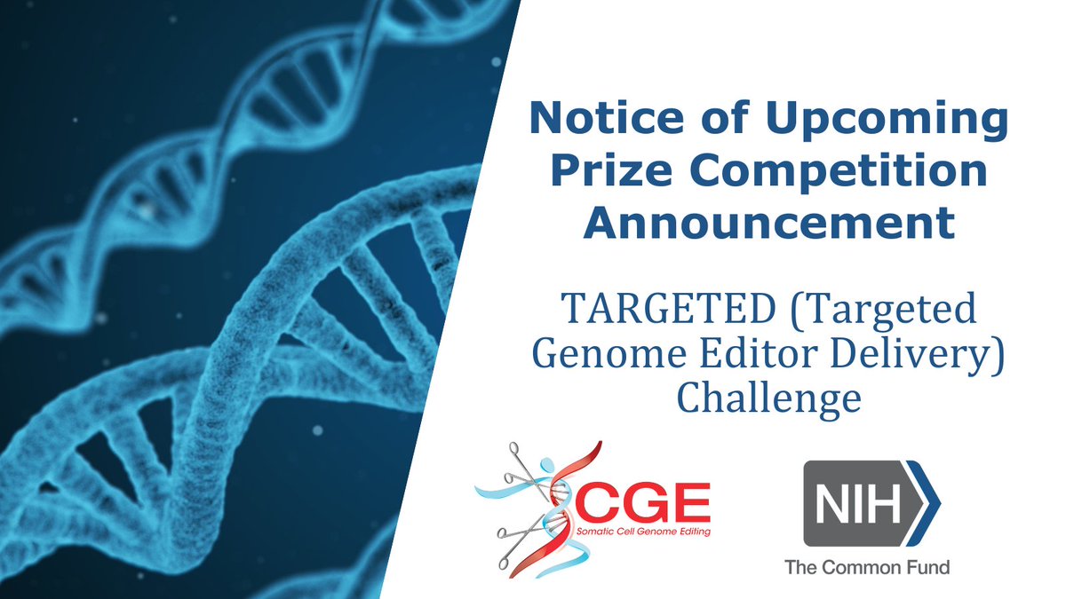 NIH_CommonFund's tweet photo. Calling #BiomedicalResearchers and #GenomeEditing innovators! See how our @somaticediting program aims to improve delivery technologies through an anticipated multi-phase TARGETED challenge intending to offer a total prize purse of $6M: https://t.co/ixRwe3038E https://t.co/JbRTXsmzYg