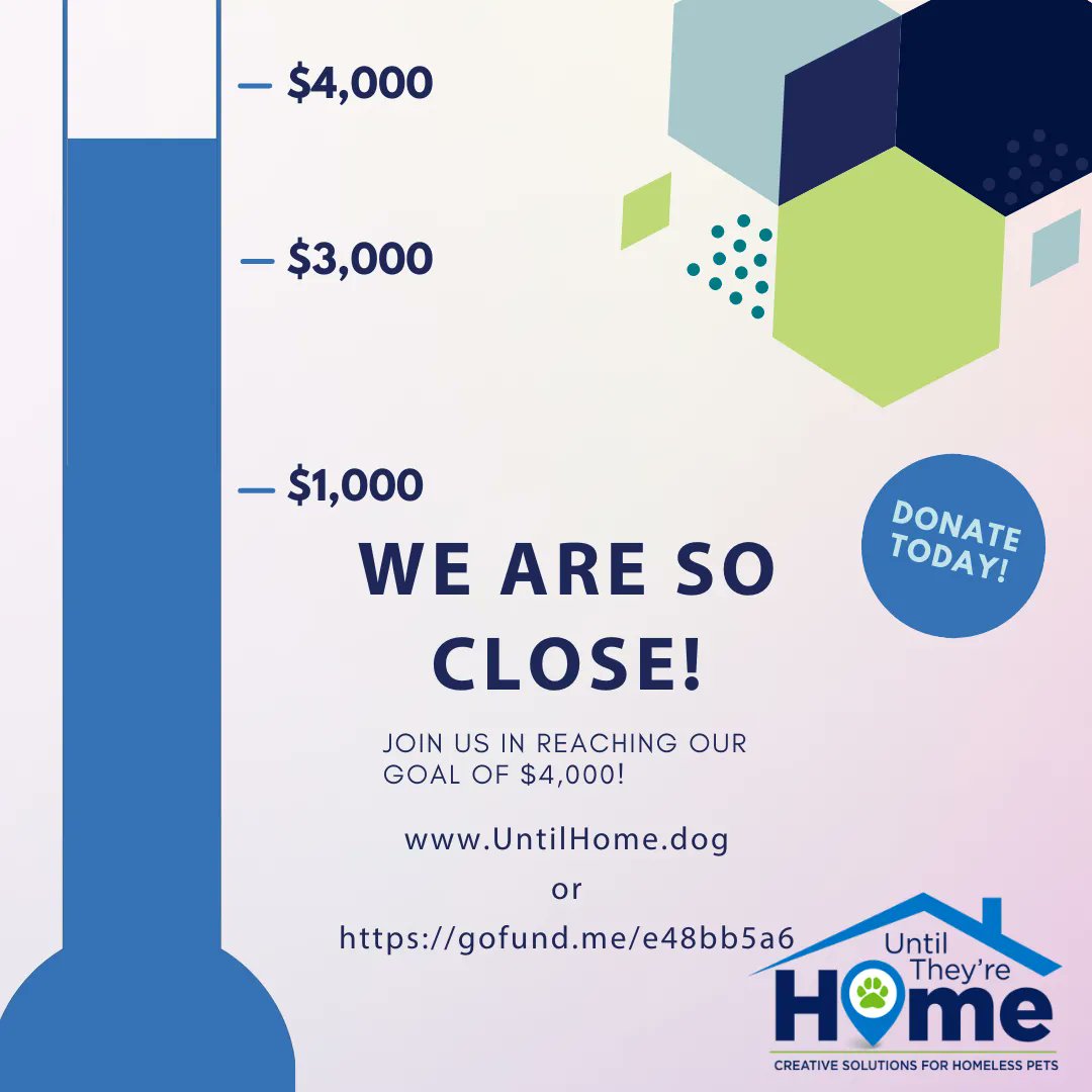 UntilHomeCo's tweet photo. We are so close to our goal!  Help push us over the edge like a cat pushes cups off the counter.
https://t.co/PXMnqcqRon 
#AnimalRescue #RainyDayFund #RescueDog https://t.co/7880Coznfc