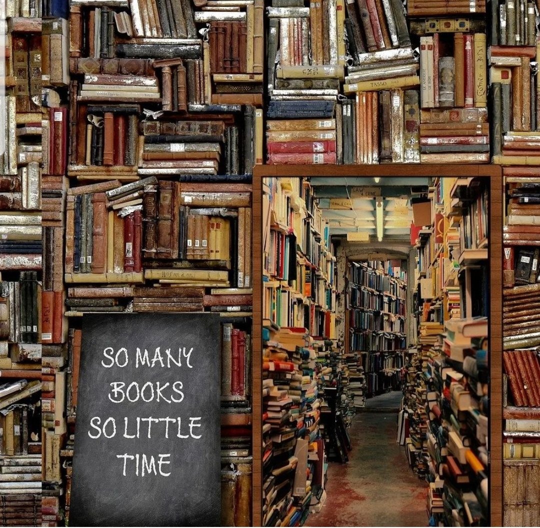 LLuyben's tweet image. yep... wat heerlijk dat ik nog zoveel boeken te lezen heb!🤩
.
.
#boeken #lezer #BookLover #BookTwitter