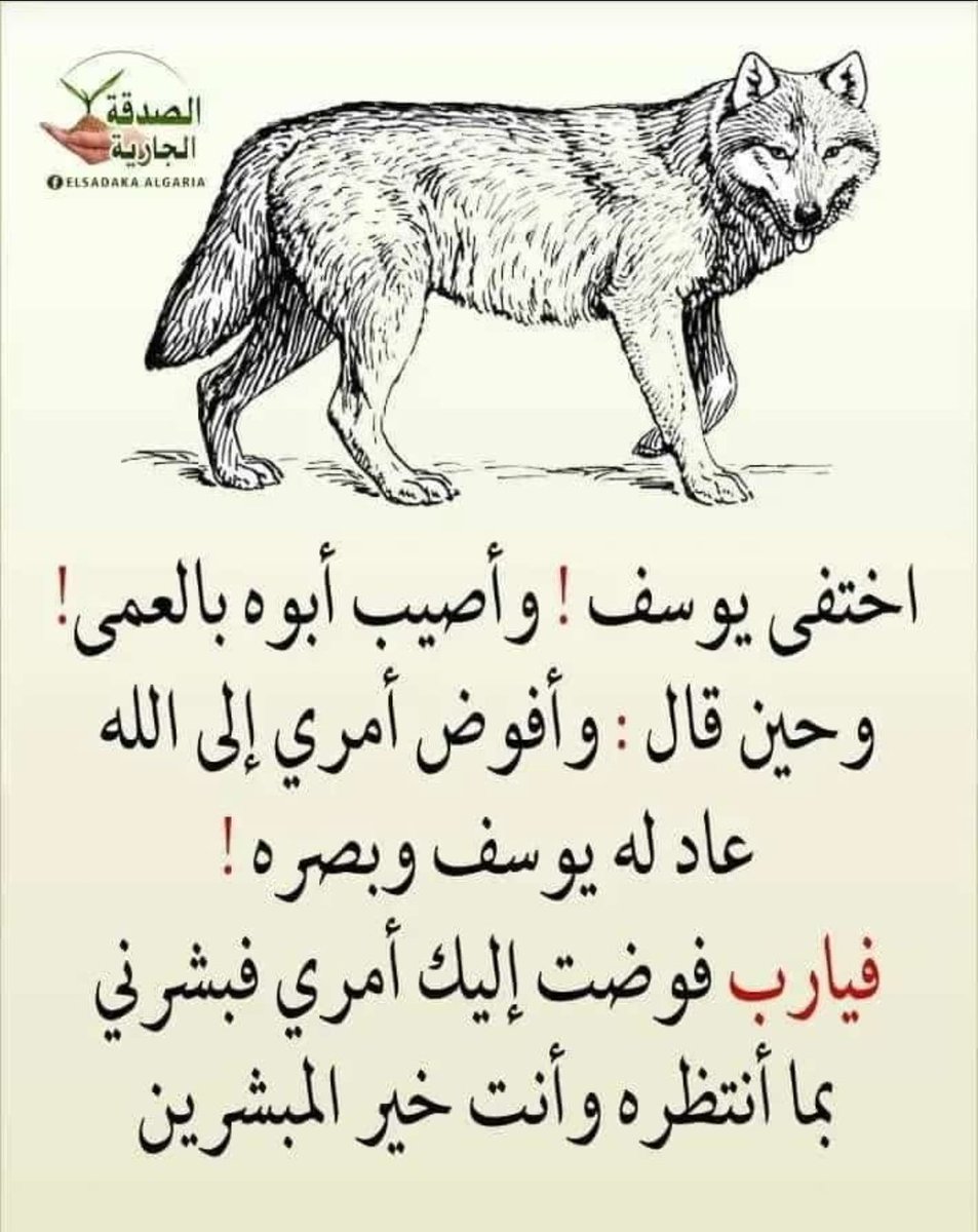 سليمان الشريف (@slymanshryf1234) on Twitter photo 