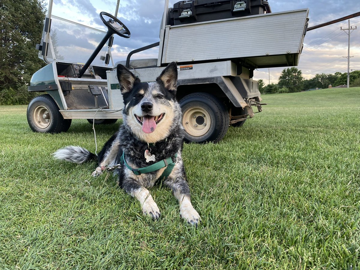 Mel Waldron III tweet media