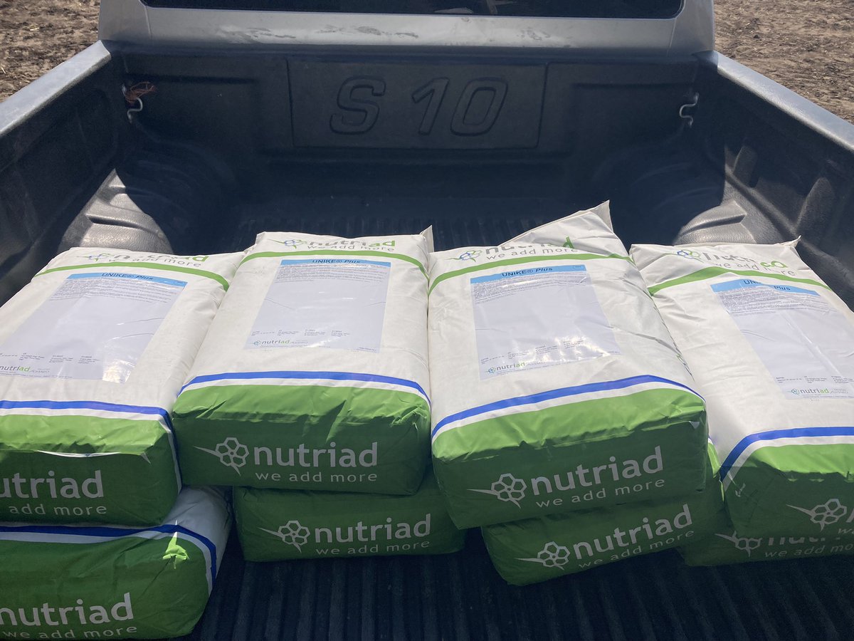 sns_uruguay's tweet photo. Productor quesero con vacas en cama caliente prefiere #UnikePlus como #secuestrante de #micotoxinas para la seguridad de sus vacas y para garantizar un producto final 🧀 sin riesgo para el #consumidor 🥛
#Nutriad #WeAddMore @Adisseo https://t.co/aL6wH9IHwU