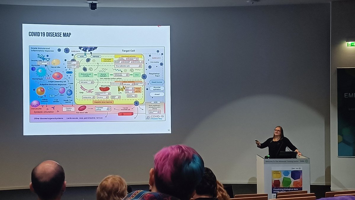 patriciabondia's tweet photo. @mkutmon started the #vizbi cells session talking about how disease maps can help us to interpret and visualize data and its contribution to COVID-19 studies. Also she presented #Wikipathways, which is a platform for biological pathways used by the research community. https://t.co/cU9Ui0ZbOP
