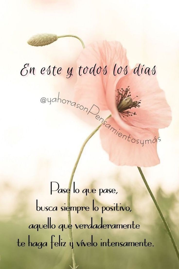 Laura González (@laura_glez_77) on Twitter photo 