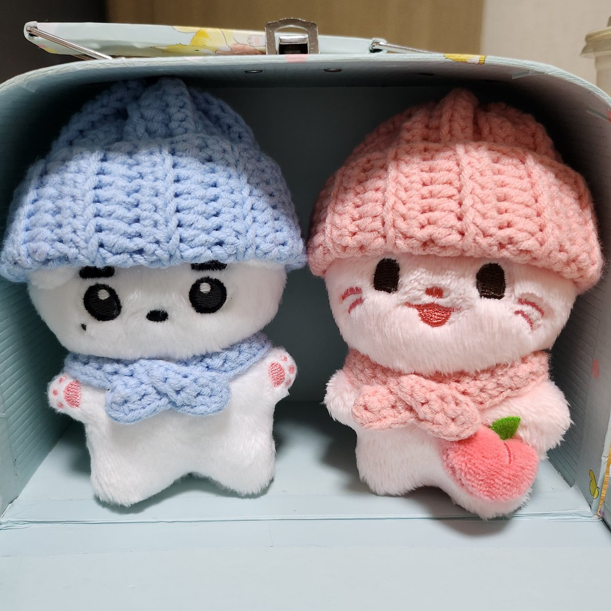 #설동이의날들 #숩달이의하루
미용당하시느라 수고하셨습니다😊😊😊