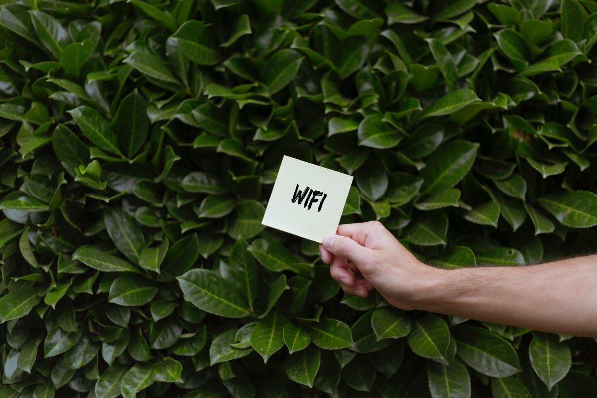 cutfsonline's tweet photo. #CUTStudents – Participate in the WiFi User Experience Survey
It will take approximately 1 minute to complete the questionnaire.
Questions? contact the IT helpdesk 3rd Floor of BHP.
Closing date: 17 April 2023
Go to the survey, https://t.co/3dALVTEgNJ https://t.co/jqVqmb8N9w