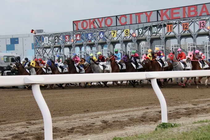 ユリシーズ、スタート！！！2023.3.29#大井競馬場 6R#ユリシーズ #山崎誠士騎手 