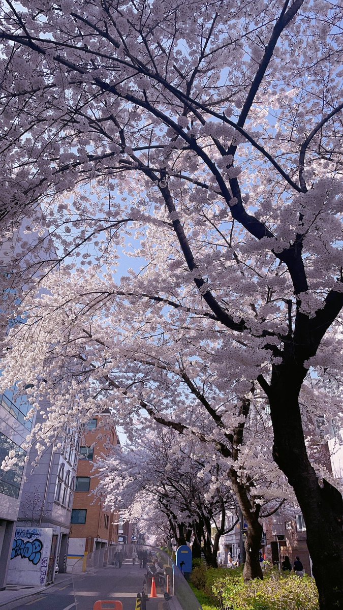 Wo__ning's tweet photo. 20230330 일상

벚꽃구경🌸 꼼마카페☕️ https://t.co/oc4WFkNtNT