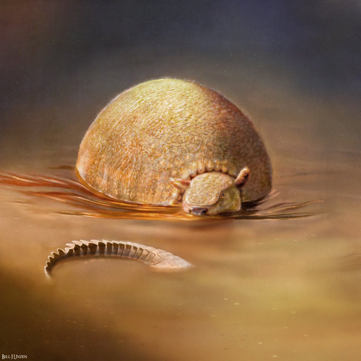 Fabio Alejandro on Twitter: “RT @Orribec: Glyptodon clavipes wallowing.”