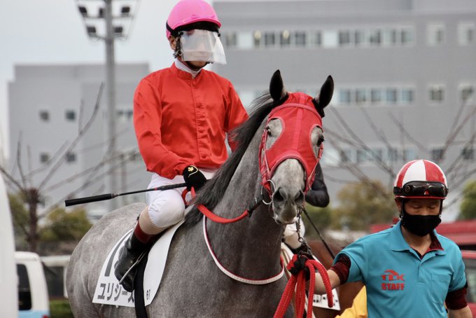 どうした？2023.3.29#大井競馬場 6R#ユリシーズ #山崎誠士騎手 