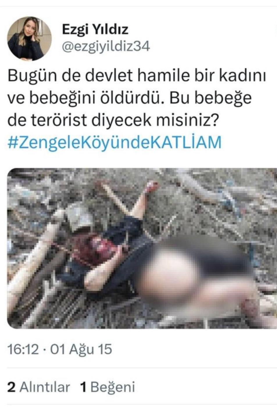 Resim