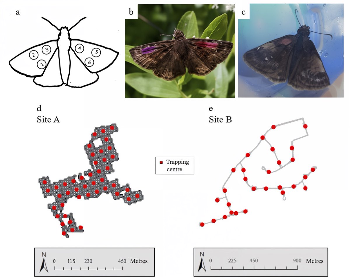 Dr. Ryan Norris tweet media