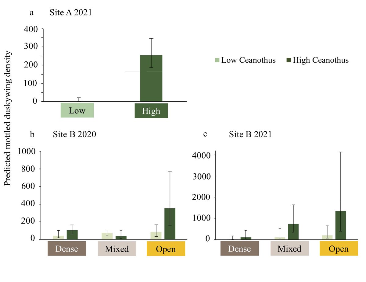 New endangered Mottled duskywing paper!! 

Led by <a href="/AngelaDemarse/">Angela Demarse</a>, we provide the first ever estimates of population size and drivers of density in two existing populations. Free to download. #teambutterfly

<a href="/Jessicalinton86/">Jessica Linton</a> @ETrendos <a href="/Conservatory_/">Cambridge Butterfly</a>

int-res.com/articles/esr20…