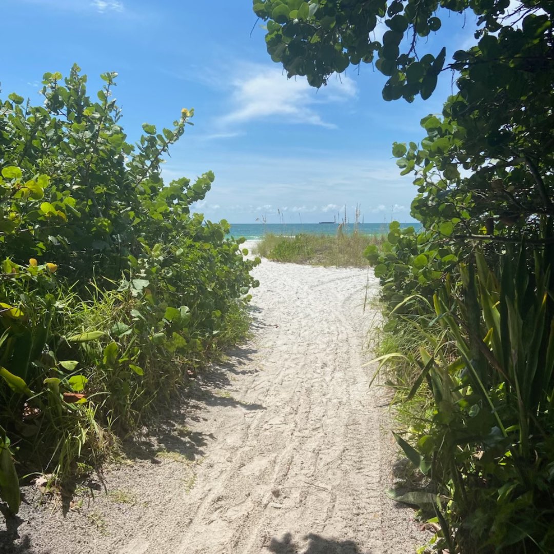 KeepFLBeautiful's tweet photo. No matter which #Florida trail you find yourself on, remember to be clean &amp; think green! #parks #gardens #bethechange #preventlitter #beaches #trails #leavenotrace https://t.co/NTRNVwXkJK