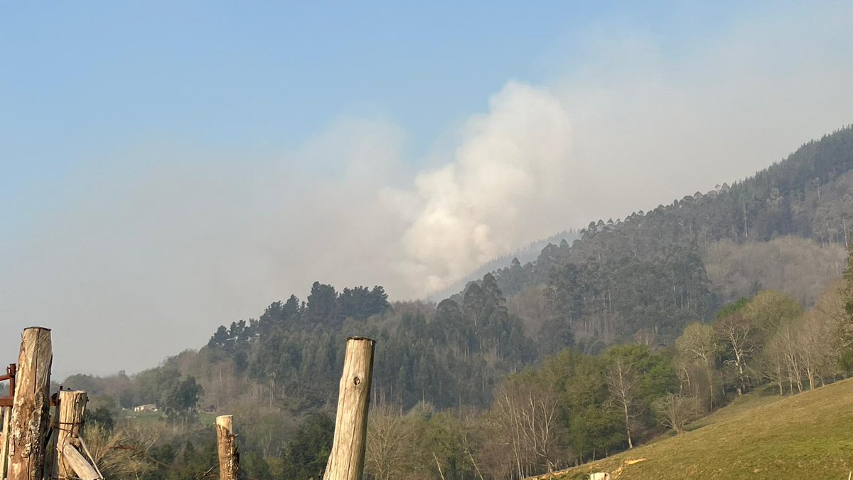 AT_Brif's tweet photo. 10:08📸#IFQues, Piloña #Asturias

Este es el aspecto que presenta el incendio forestal a la llegada por tierra de #BLP @BrifTineo para trabajar en labores de extinción.

Somos #BRIF de @mitecogob https://t.co/nmC4wVmddZ