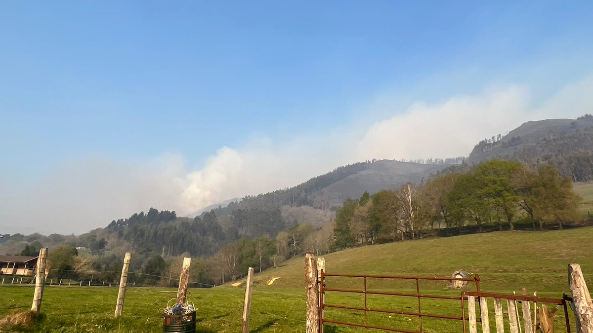 AT_Brif's tweet photo. 10:08📸#IFQues, Piloña #Asturias

Este es el aspecto que presenta el incendio forestal a la llegada por tierra de #BLP @BrifTineo para trabajar en labores de extinción.

Somos #BRIF de @mitecogob https://t.co/nmC4wVmddZ