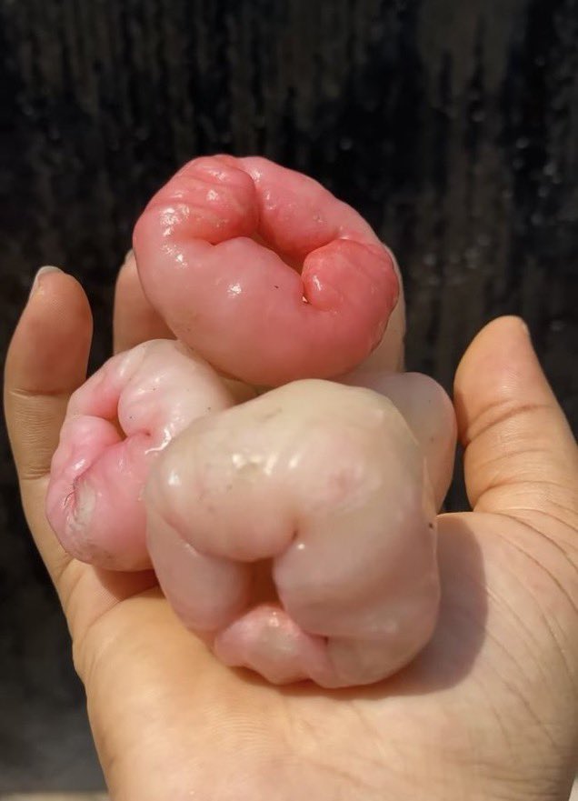 What’s the name of this fruit?