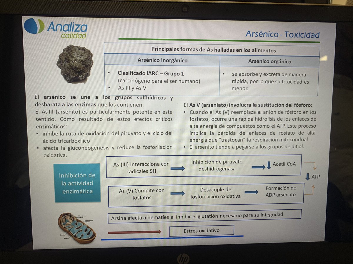 LuisMGallego's tweet photo. Últimos retoques de la Presentación de hoy sobre #Especiacion de #Metales (#Arsenico y #Mercurio) en #Análisis de #Alimentos, #Piensos y #Aguas , #toxicidad #legislación y #Análisis
Jornada organizada por @PerkinElmer en #Madrid, Hospital Gómez Ulla
#SeguridadAlimentaria https://t.co/WlgcDac2vo