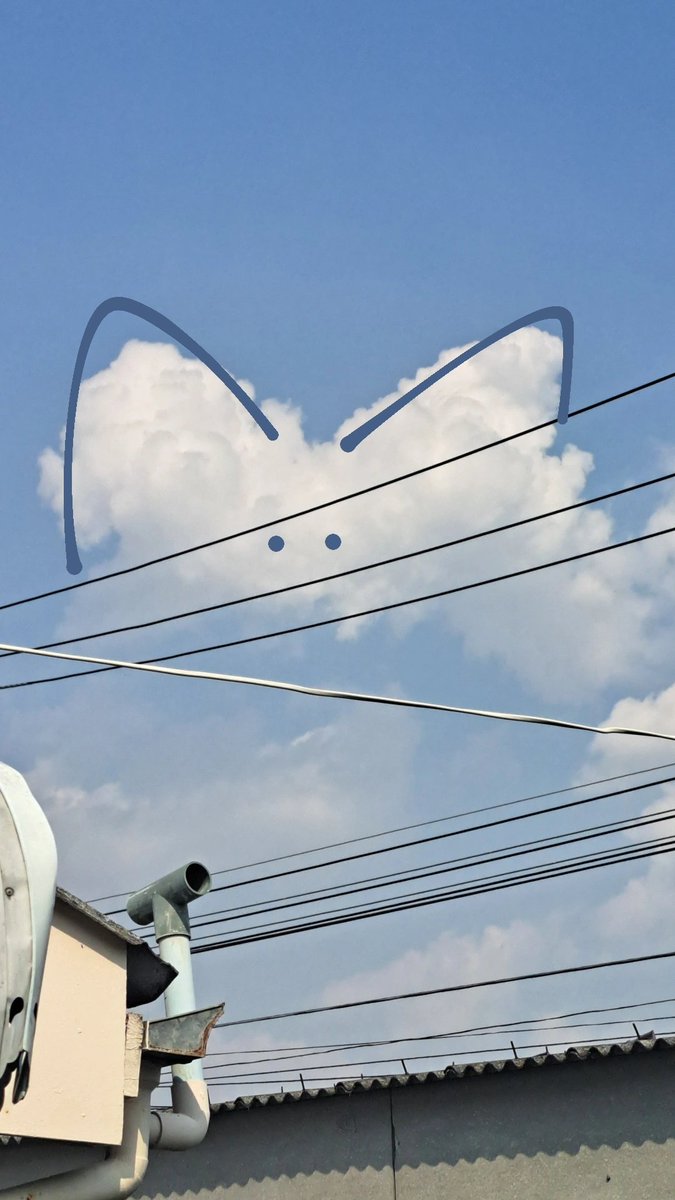 saphimega's tweet photo. ก้อนเมฆน่ารักมากเลยยยย🩵☁️ https://t.co/lU7Ixs7Awo