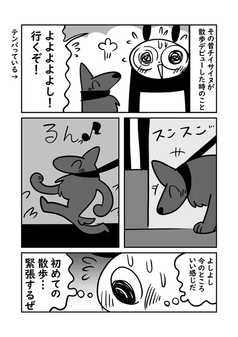 犬さん達の集会デビュー!!!が俺のせいで失敗した話… 