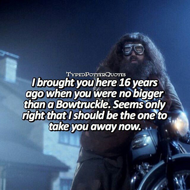 Harry Potter World tweet media