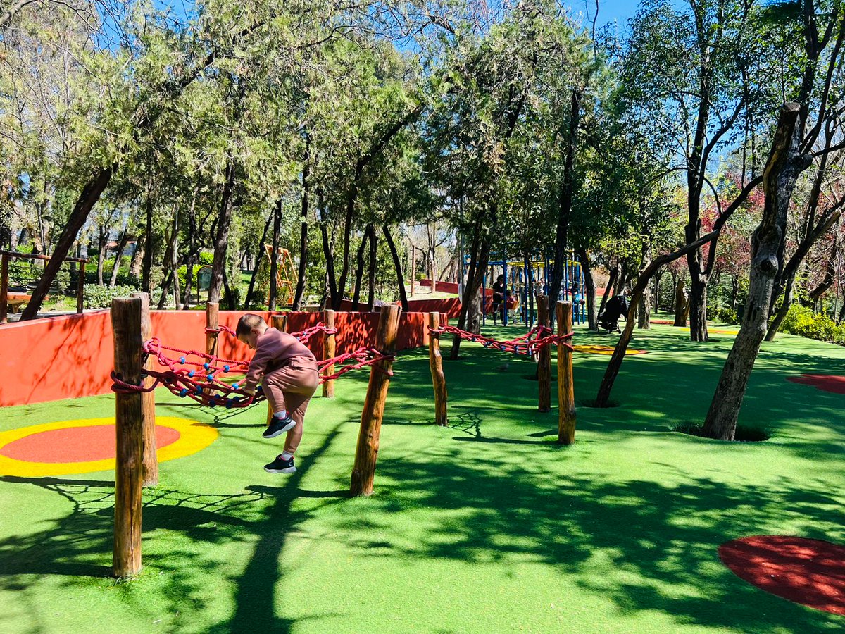 aprtirana's tweet photo. Mirëmëngjes nga këndi i lojërave në Parkun e Liqenit!👨👩👧👦🌾🛝🏃♂️
#PlayTirana
#Luaj@Tirana
#apr #bashkiatiranë
#parkuiliqenit
#naturelover https://t.co/RAYfcDHDhO