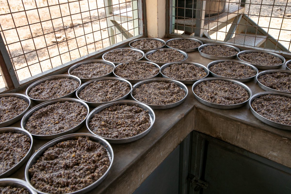 WFP South Sudan tweet media