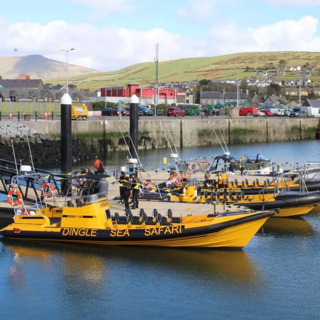 The very best of luck to Dingle Sea Safari with the newest addition to their fleet - ‘Endeavour’. 

Wishing you all a great 2023 season in Dingle! Beir bua agus beannacht! 

#Dingleseasafari #Dinglepeninsula #Corcadhuibhne