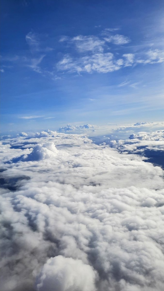 Tr0p1calbli55's tweet photo. Head in the clouds 💙 😎 #RestRecharge https://t.co/sSl5Et0e6M