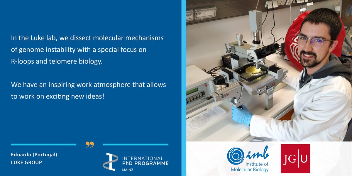 imbmainz's tweet photo. π¨Are you interested in #RNAbiology and looking for a #PhDposition in an international environment?
The group of Brian Luke @LukeLab2 has an open position in the @IPPMainz summer call https://t.co/EITdVFuXFO
β‘οΈApply by 19 April https://t.co/bBpWJdQpeP
#ageing #RNA #ippmainz https://t.co/lMsbK0mg1Y