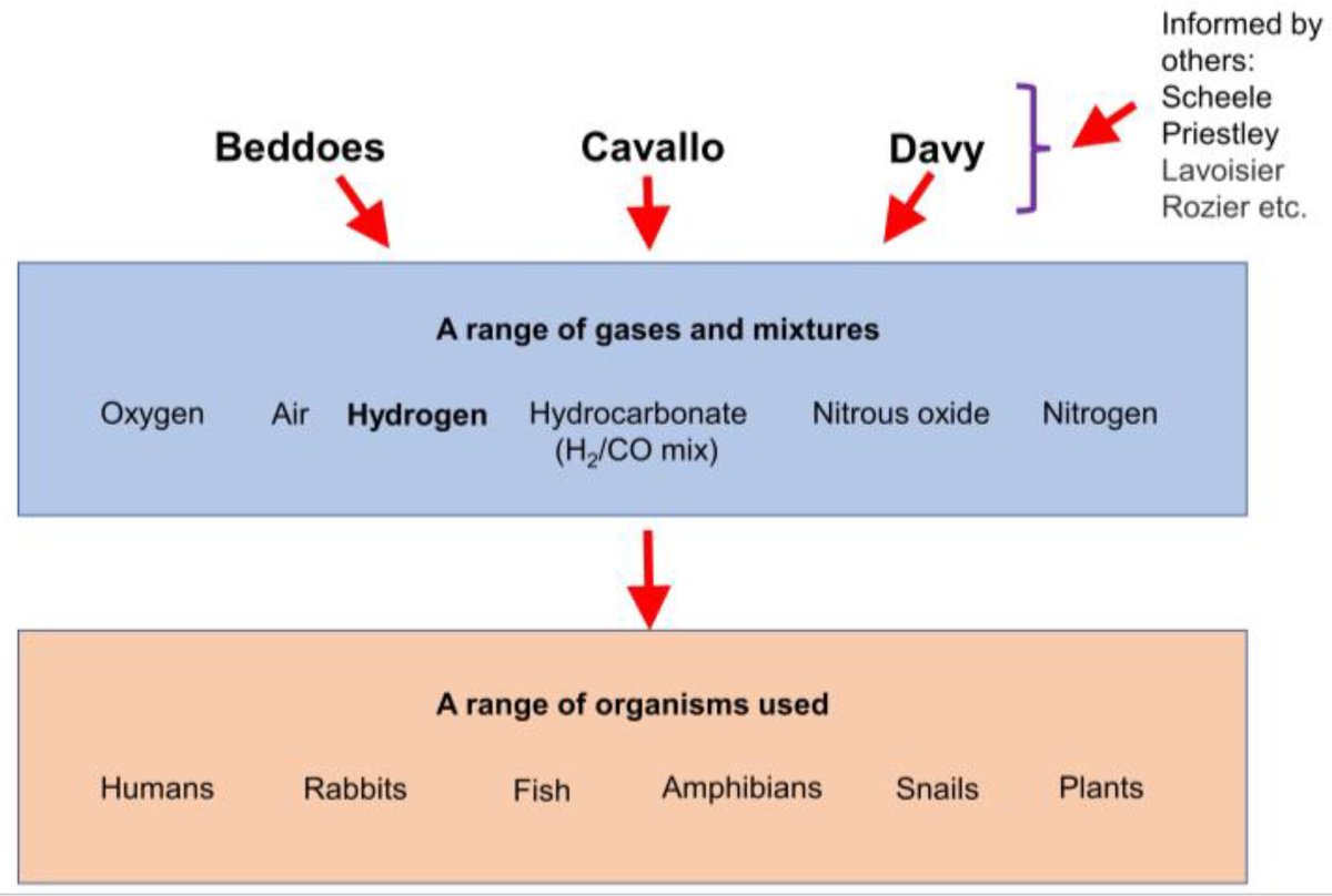 📢New publication from Professor John T. Hancock's team.

The Early History of #Hydrogen and Other Gases in Respiration and Biological Systems: Revisiting Beddoes, Cavallo, and Davy 

mdpi.com/2673-9801/3/1/8