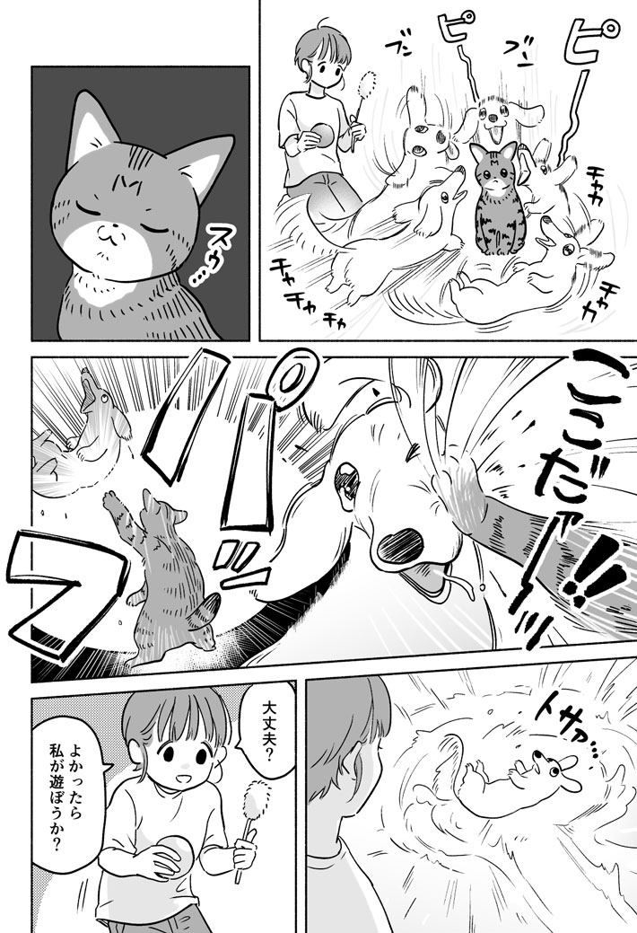 「別に遊んでほしいわけじゃないんだからね」 犬と猫の独特な関係 https://t.co/RtkW2ryi1q @grapeejpより 