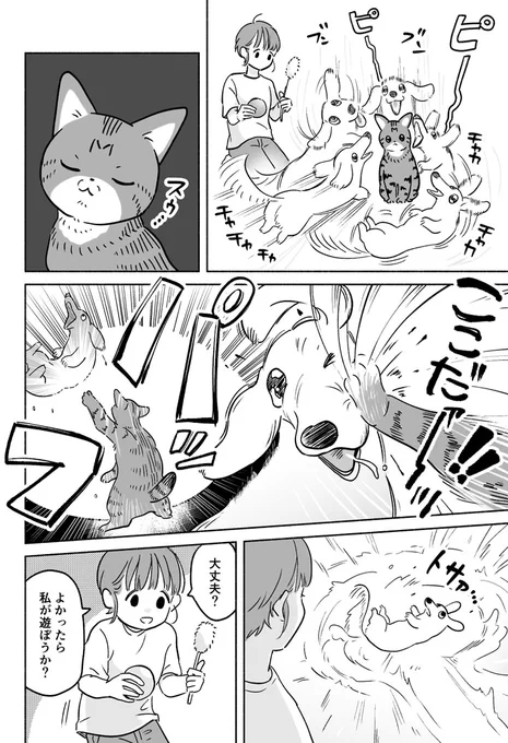 「別に遊んでほしいわけじゃないんだからね」 犬と猫の独特な関係 https://t.co/RtkW2ryi1q @grapeejpより 
