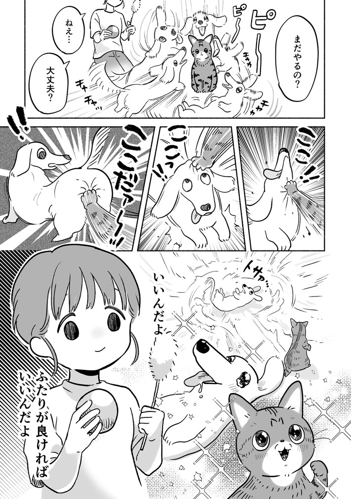 「別に遊んでほしいわけじゃないんだからね」 犬と猫の独特な関係 https://t.co/RtkW2ryi1q @grapeejpより 