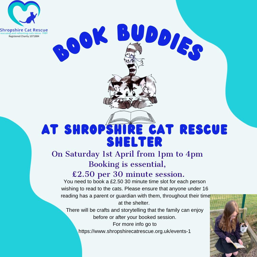 ShropsCatRescue's tweet photo. It's #ThursdayMorning and Tula is enjoying the sun puddles. Let's hope the sun shineson #caturday as it's #Bookbuddies day were children can come & read to the cats ๐ค๐๐ป๐พ๐ #CatsOfTwitter #catsontwitter #catlovers๐ #cats #readingtocats https://t.co/4BL7kKk51z