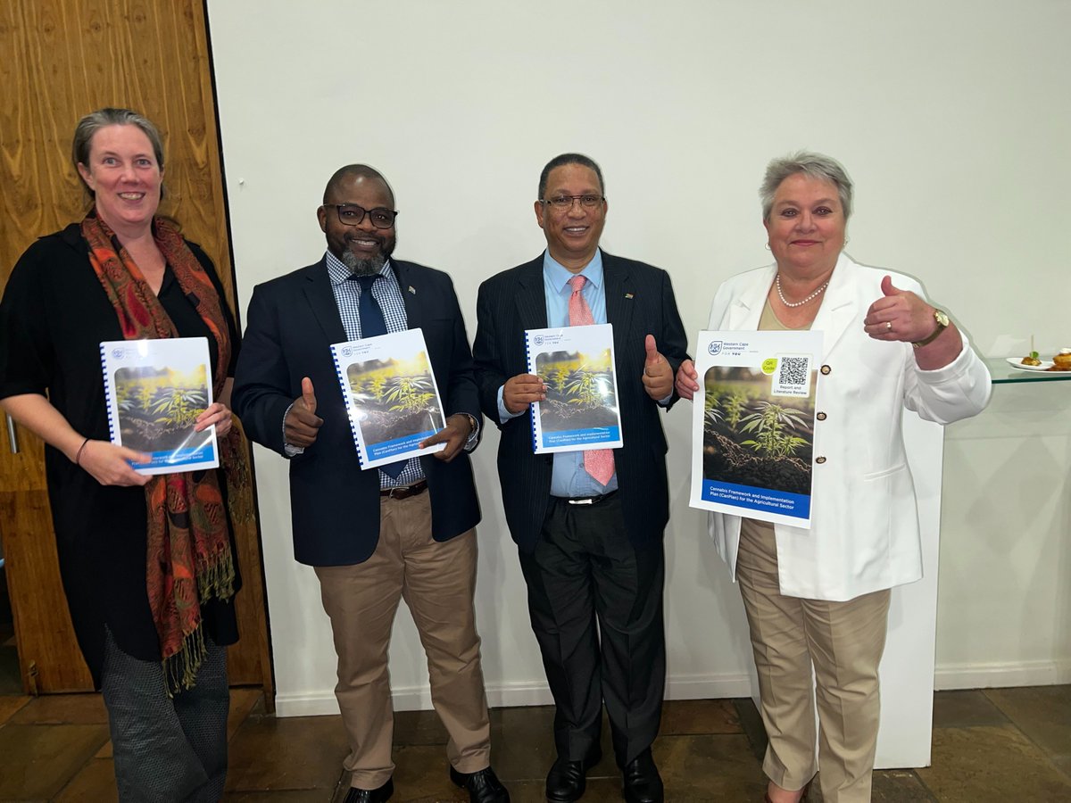 WCGovAgri's tweet photo. [MEDIA RELEASE‼️📢] The Western Cape Western Cape Minister of Agriculture unveils the Western Cape Department of Agriculture's Western Cape Cannabis Framework &amp; Implementation Plan (CanPlan).

➡️Read more: https://t.co/ytseANCgwH

#CanPlan
#ForTheLoveOfAgriculture🌱 https://t.co/q8zA4uvJbj