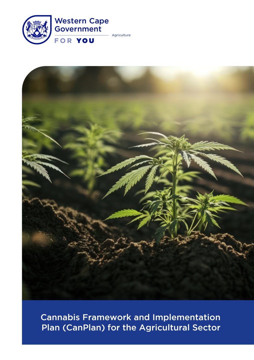 WCGovAgri's tweet photo. [MEDIA RELEASE‼️📢] The Western Cape Western Cape Minister of Agriculture unveils the Western Cape Department of Agriculture's Western Cape Cannabis Framework &amp; Implementation Plan (CanPlan).

➡️Read more: https://t.co/ytseANCgwH

#CanPlan
#ForTheLoveOfAgriculture🌱 https://t.co/q8zA4uvJbj