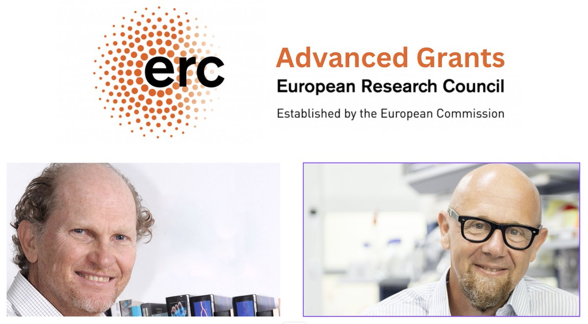 Tigem Telethon (@tigem_telethon) on Twitter photo Andrea Ballabio, Director of Tigem, and Alberto Auricchio, Coordinator of the Molecular Therapy area, received the prestigious ERC Advanced Grants for a total of 5 million euros for 5 years!
Read an in depth analysis here:
tigem.it/newsroom/news-…
#ERCAdG <a href="/ERC_Research/">European Research Council (ERC)</a> Andrea Ballabio, Director of Tigem, and Alberto Auricchio, Coordinator of the Molecular Therapy area, received the prestigious ERC Advanced Grants for a total of 5 million euros for 5 years!
Read an in depth analysis here:
tigem.it/newsroom/news-…
#ERCAdG <a href="/ERC_Research/">European Research Council (ERC)</a>