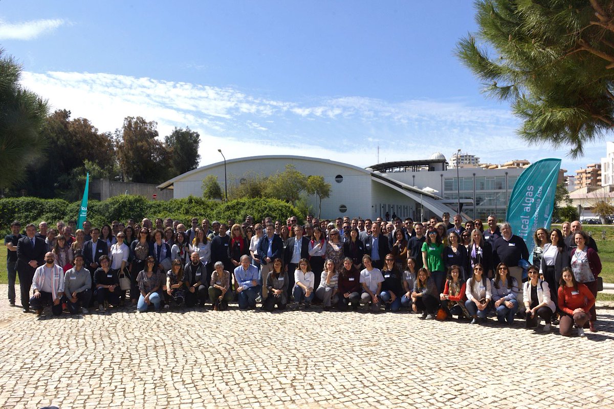 PhytoBloom, by Necton tweet media