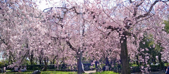 ððžãã£ã¡ãããéœæ°ã ã£ãïœãã®ãŸãŸæããæ¥ç¶ããŠãã!