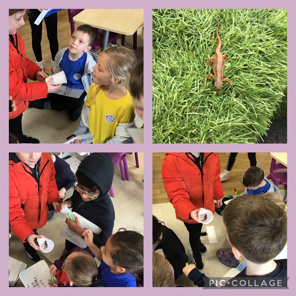 We had a very exciting visitor this morning! Lots of wonder and questions filled our heads “what is it?” “Its it from Matilda?” “Where did you find it?” “Where does he live.?” #takenotice #connect