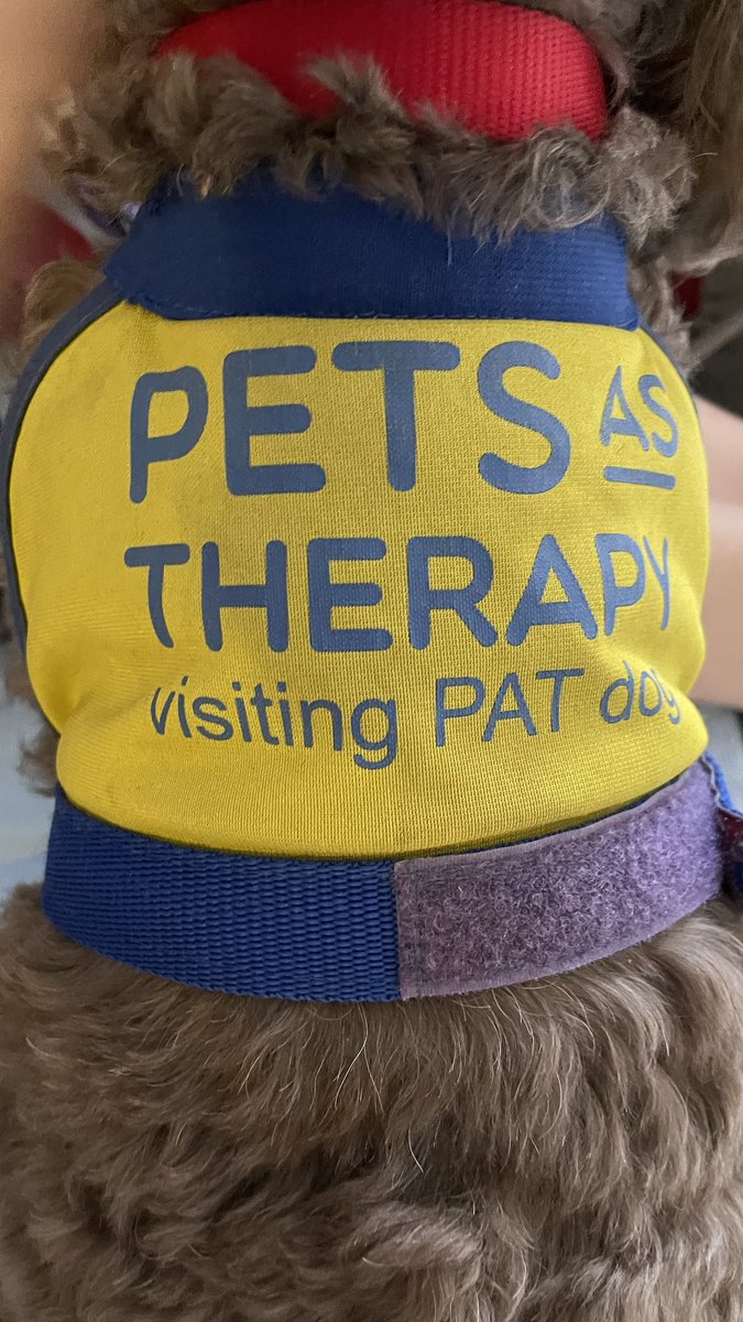 Our pupils enjoy therapeutic sessions with Amber, the therapy dog, during her weekly visits to the children's ward at Ipswich Hospital. <a href="/PetsAsTherapyUK/">Pets As Therapy</a> <a href="/RaedwaldT/">Raedwald Trust</a> <a href="/ESNEFT/">East Suffolk and North Essex NHS Foundation Trust</a>