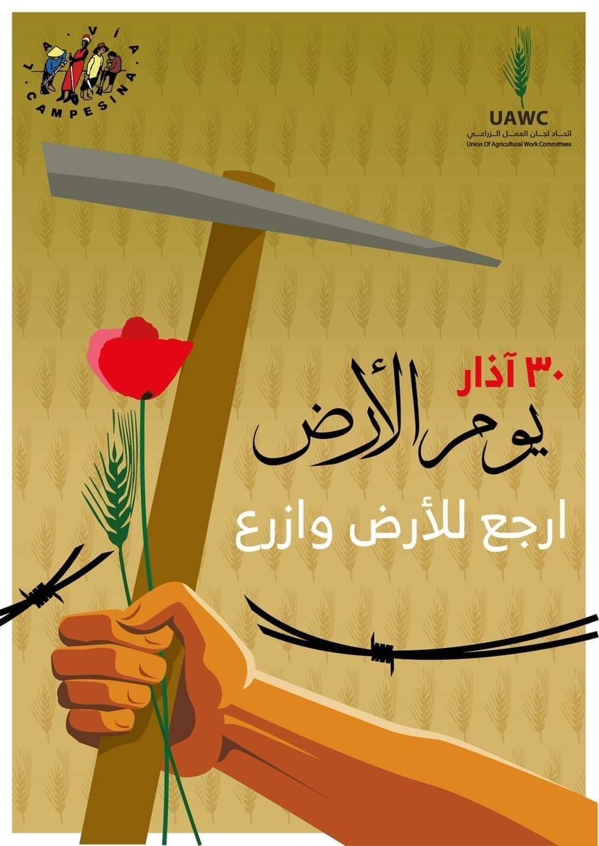 La Vía Campesina Español #SoberaniaAlimentariaYA tweet media