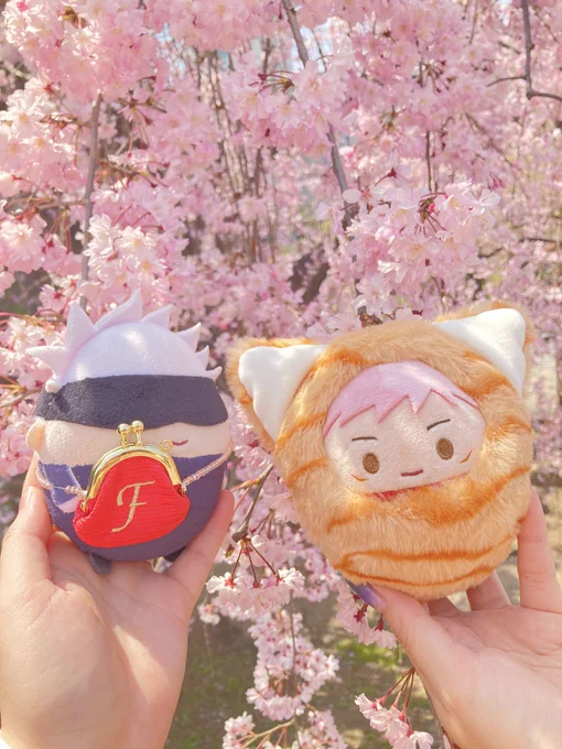 はむさんとふわお花見会してきました最高に幸せな一日 