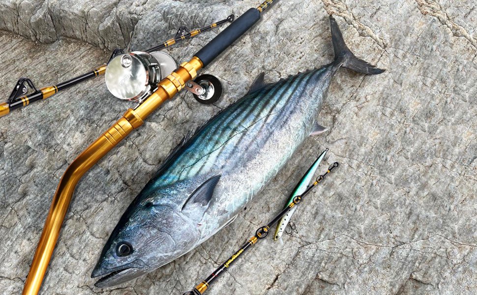 New from Fiblink，2 Piece Bent Butt Fishing Rod!!!
For a limited time, take 20% off（no code needed!）amazon.com/dp/B0BY1J8XBK/
#fiblink #fishing #fishingrod #trollingrod #bentbuttrod #trollingfishing #tunafishing #deepdrop #biggamefishing #saltwaterfishing