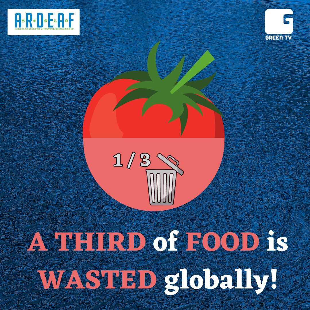 ARuDEAF's tweet photo. Global waste: what is the share of food waste? Over a third of all food produced (~2.5 billion tons) is lost or wasted each year. One third of this occurs in the food production stage.
#11DaysForEarthsHealing #11DFEH #ARDEAF #Eartherian #climatechange #foodwaste #saynotofoodwaste https://t.co/E0lBdVToKZ