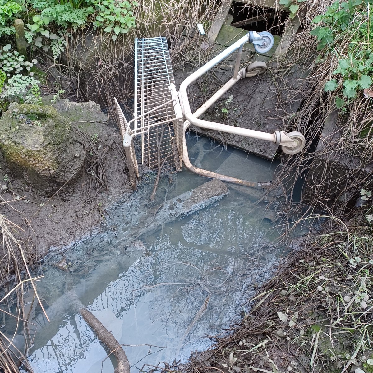 Peter Powell tweet media