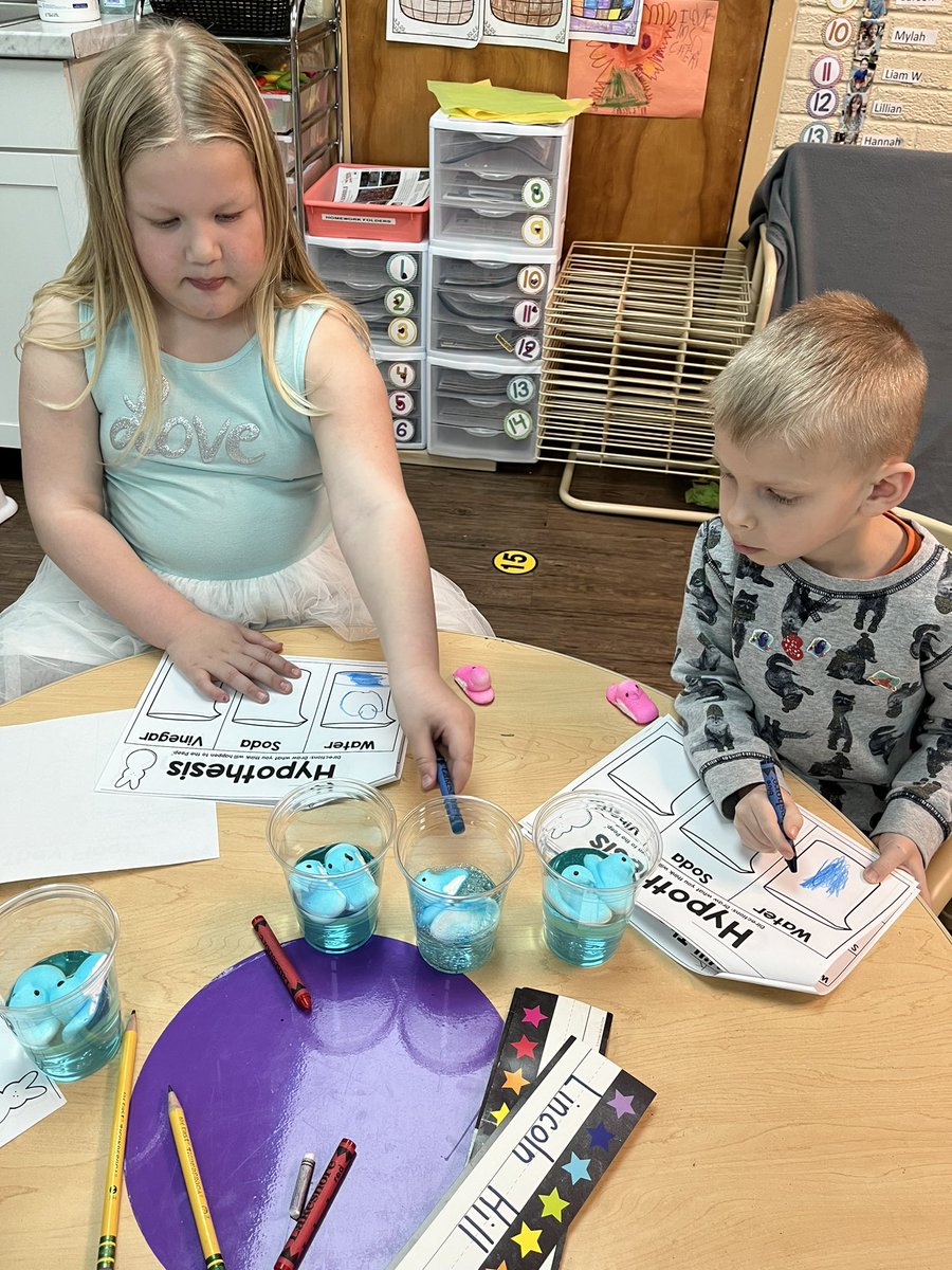 CheriZweng's tweet image. So, what would you do a few days before break and your teacher brings in a bag full of Peeps? Well, if you are in DK you participate in a science experiment about what happens to Peeps in three different clear liquids (water, vinegar, and soda). What is your guess? #mylsps