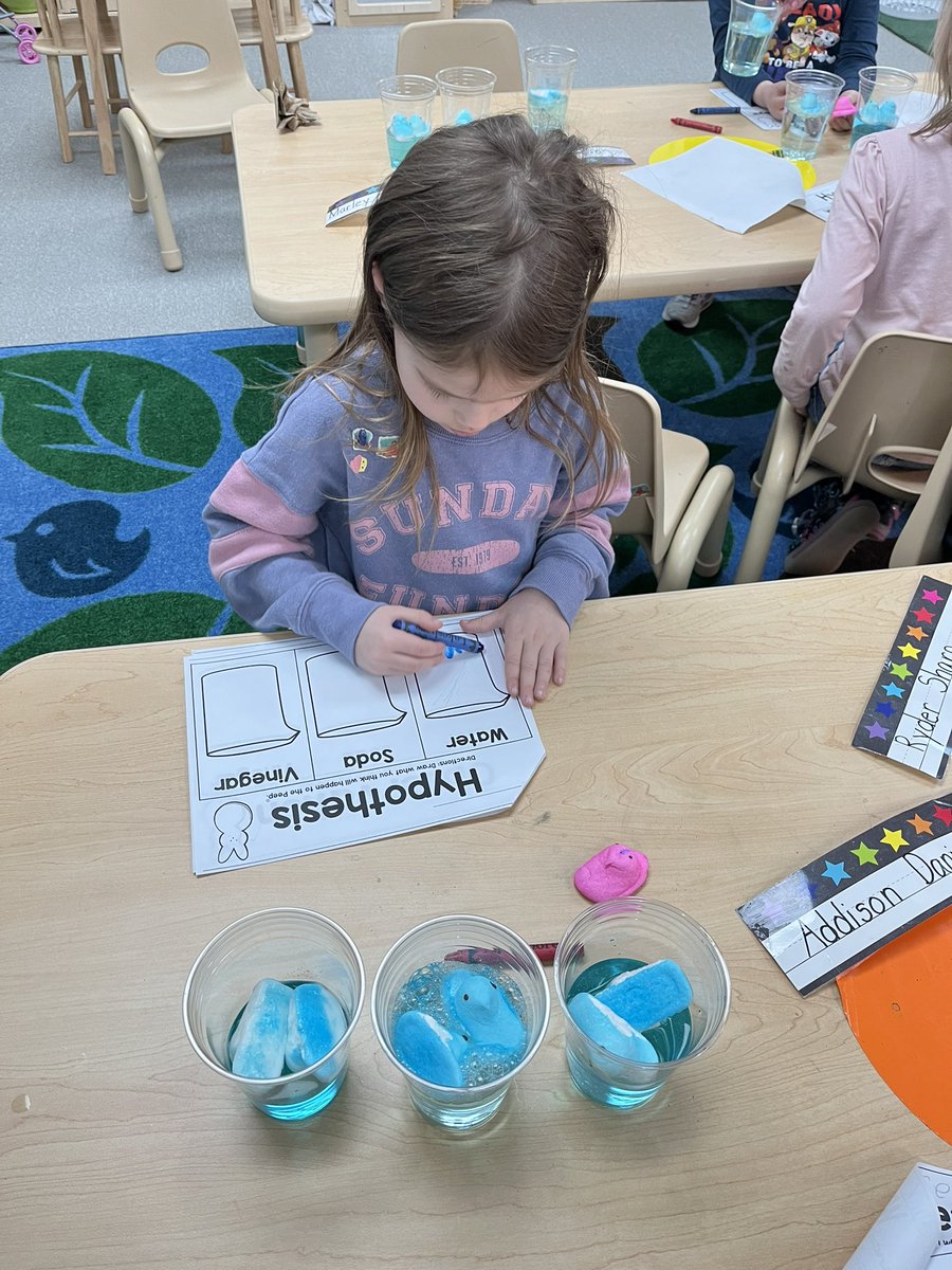 CheriZweng's tweet image. So, what would you do a few days before break and your teacher brings in a bag full of Peeps? Well, if you are in DK you participate in a science experiment about what happens to Peeps in three different clear liquids (water, vinegar, and soda). What is your guess? #mylsps